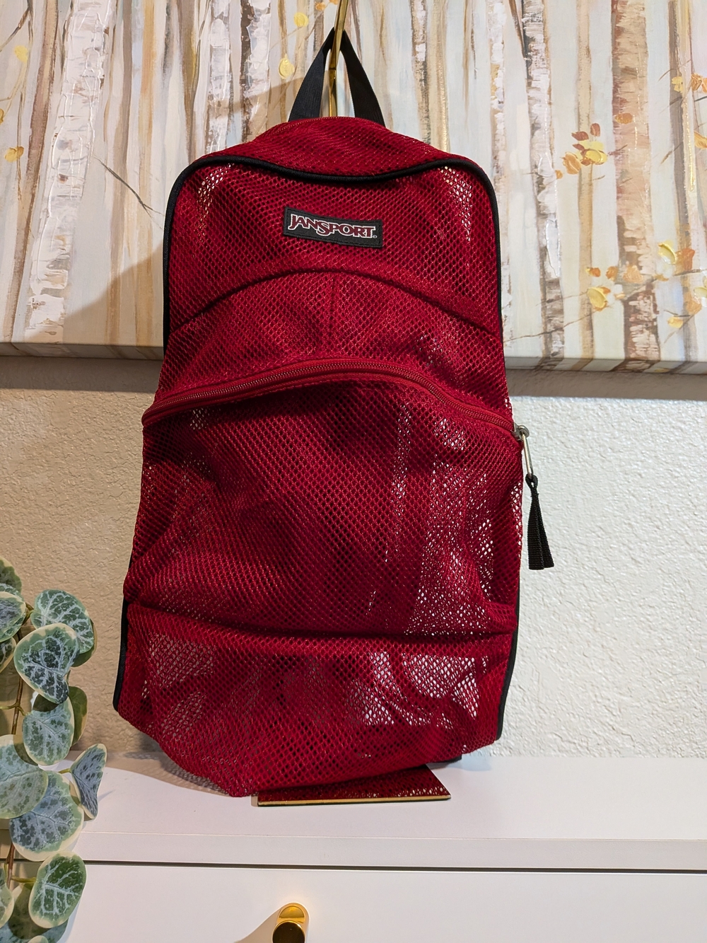 JanSport Red Mesh Backpack - Lightweight Everyday Bag